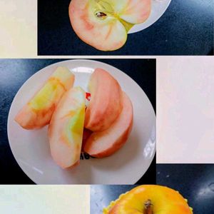 クリスマススワッグ,癒やし,ほっこり笑顔に,能登半島地震に心寄せて…,クリスマス「スワッグ」2025の画像