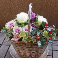 寄せ植え,ナチュラルガーデン,コンテナガーデン,花のある暮らし,お花の寄せ植えの画像