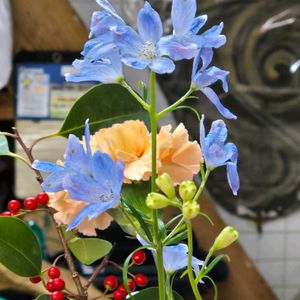 ディルフィニウム,生け花,今日の一枚,おでかけさきの画像