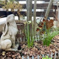 スイセン,スイセン,アオダモ,アオダモ,ペチコート水仙の画像