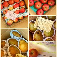 リンゴ,ラ・フランス,わんこと暮らす,初冬の頃,シルバーベルの画像