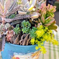 火祭り,十二の巻,不死鳥,ルビーネックレスの花,大人の着せ替え人形の画像