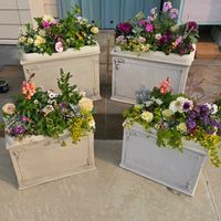 アネモネ,寄せ植え,鉢カバー,カルナック,玄関アプローチの画像