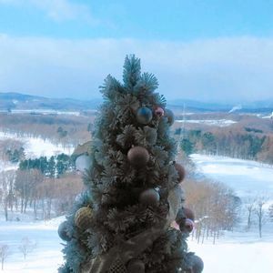 光と影,クリスマスツリー,札幌から,北広島市の画像