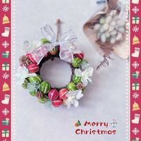 オキナワスズメウリ,クリスマス,ドライフラワー,リース,ガーデニングの画像
