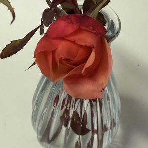 ベテラン乙女倶楽部,キッチンの画像