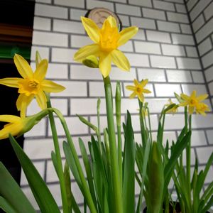 ベランダの画像