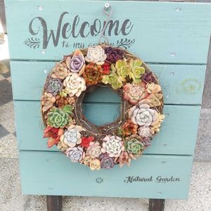 玄関アプローチの画像