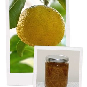 三温糖,疲労困憊,キッチン,庭の画像