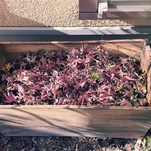 ガーデニング,植中毒,植物愛がとまらない,コンポスト,おうち園芸の画像