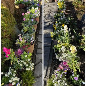 GSに感謝。,チーム岐阜,白川砂利,玄関アプローチ,庭の画像