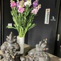 ストック,ドナセナ,今日も一日良い日でありますように…,風邪などひかない様に過ごしましょうね,温度差に気をつけましょうの画像