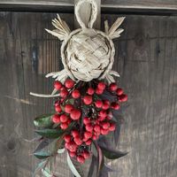 ナンテン,ムギ,コメ,ハイブリッドチース,スターチースの画像