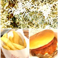 シロタエギク,モスバーガー,ランチ,復興祈願,世界平和の画像