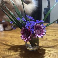 ガーベラ,スターチス,尖った葉っぱ,仏壇用アレンジメント,誰かの尻尾が写ってます。笑の画像