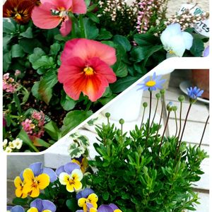 玄関アプローチの画像