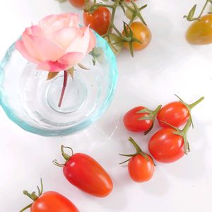 バラ,ミニトマトの画像