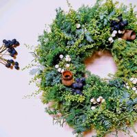 ブルーアイス,ミモザ,ヒムロ杉,ナンキンハゼの実,ナンキンハゼの実の画像