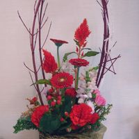 カーネーション,カーネーション,ガーベラ,ガーベラ,キンギョソウの画像