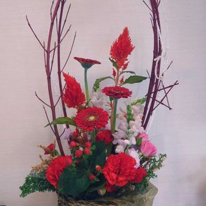 カーネーション,カーネーション,ガーベラ,ガーベラ,キンギョソウの画像