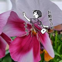 パンジー,お散歩ちゃん広報委員会,ビオラ・パンジー祭り♪,お散歩ちゃんスタンプ,お散歩ちゃんマイベスト2025の画像