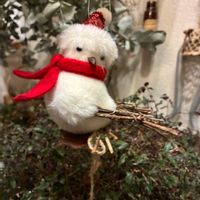 ブライダルベール,ユーカリ,クリスマス,観葉植物,繋がりに感謝✨の画像