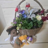 アリッサム,キンギョソウ,葉牡丹,神戸べっぴんさんビオラ,神戸べっぴんさんビオラの画像