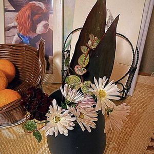 GSに感謝。,土曜日の朝,わんこと暮らす,初冬の頃,人に優しくの画像