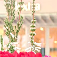 エリカ,エリカ,寄せ植え,お出かけ先の画像