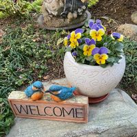 パンジー,ビオラ,ビオラ・パンジー,吊り鉢,小さな庭の画像