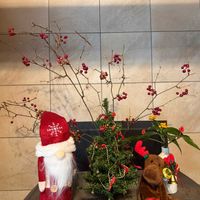 センリョウ,サルトリイバラ(猿捕茨)の画像