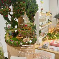 箱庭,木の実のアレンジ,どんぐりの帽子,ミニジオラマ,ミニジオラマの画像