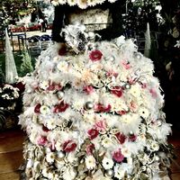 ベゴニア,ポインセチア,クラリンドウ,エリカ.ウインターファイヤー,エリカ.ホワイトデライトの画像