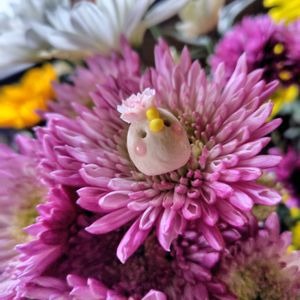 切り花,大好き,雨降り,かわいい♡,嬉しいの画像