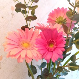 ガーベラ,ユーカリ,かわいい花,切り花を楽しむ,ミニアレンジの画像