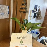 観葉植物,植物のある暮らし,医療従事者の方々へエールを,訪問看護師にエールを,三ツ星品質モニター　PRの画像