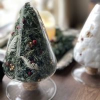 ガーデニング,緑のある暮らしの画像