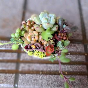 階段/廊下の画像