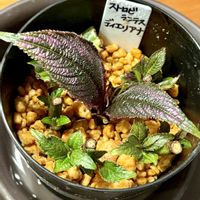 ストロビランテス ディエリアナ,挿し木,鉢上げ,愛しの紫の画像