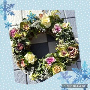 パンジー・ビオラ,葉牡丹,リース,ガーデニング,パンビオの画像