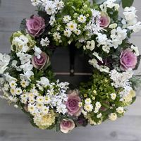 マトリカリア,葉牡丹,葉牡丹 つぐみ,イベリス ブライダルブーケ,サントリーナ　雪のサンゴ礁の画像