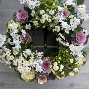 マトリカリア,葉牡丹,葉牡丹 つぐみ,イベリス ブライダルブーケ,サントリーナ　雪のサンゴ礁の画像