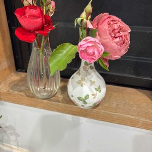 ばら バラ 薔薇,裸苗,キッチンの画像