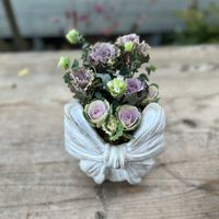 オレガノ ロタンダフォーリア,ハボタン モカ セッション,葉牡丹 セッションシリーズ スイートベリー,寄せ植え,ガーデニングの画像