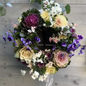 ハツユキカズラ,葉牡丹,アリッサム ピンク,葉牡丹 ウォーターリリー,葉牡丹 ヴィンテージ・ベインの画像