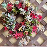 寄せ植え,多肉植物,多肉植物寄せ植え,多肉の寄せ植え,多肉植物のリースの画像