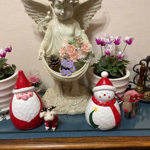 アリッサム,チューリップ,パンジー,ビオラ,ミニシクラメンの画像