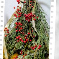 ブルーアイス,サンキライ,ユーカリポポラス,クリスマス,ドライフラワーの画像