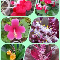 花のある暮らし,沖縄,素敵な出会いに感謝,素敵な日々,日曜日の画像