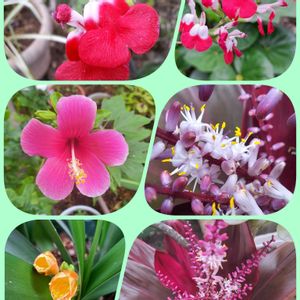 花のある暮らし,沖縄,素敵な出会いに感謝,素敵な日々,日曜日の画像